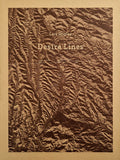Desire Lines - Lara Shipley