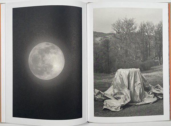 Melissa Catanese - The Lottery